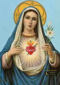 tranh duc me maria (18)